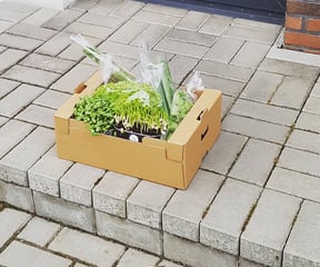 šviežios daržovės į namus