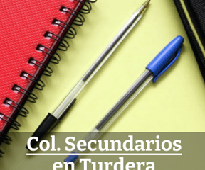 Colegios Secundarios de Turdera