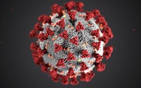 new-coronavirus-strain