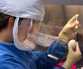 coronavirus-vaccine