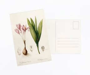 Front and back side of postcards from The Vintage Collection Postcard Set from Wintertime Crafts