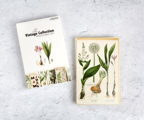 The Vintage Collection Postcard Set from Wintertime Crafts