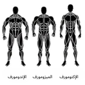 انواع الجسم