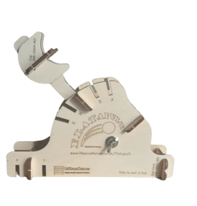 photograph of an assembled Flatapult learning aid