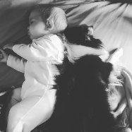 TAA. terapias asistidas por perros