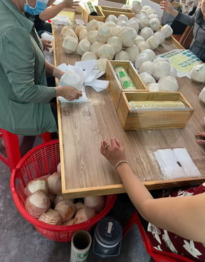 Coconut Packaging 