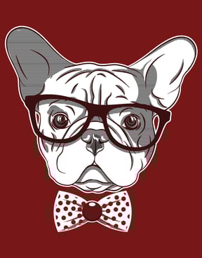 Hipster Frenchie