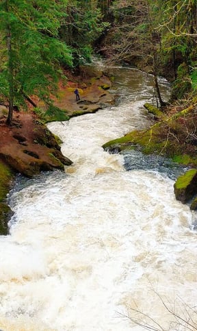 Camas, WA - the fast flowing Lacamas River thru the forest at Pothole Falls