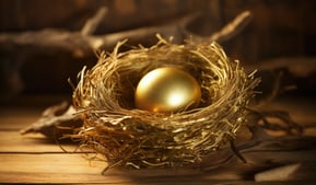 retirement nest egg with gold