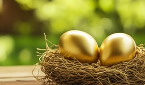 retirement nest egg