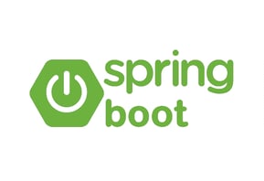 expertise in spring-boot technology