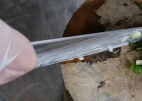 chopping herbs on plate for curry dish