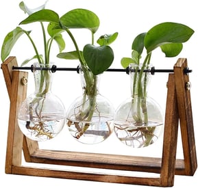 Flower Plant Terrariums