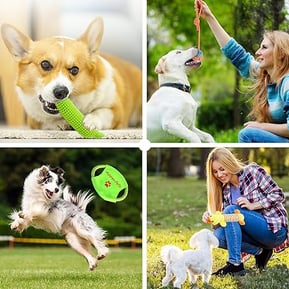 toys, pet, dog, dogs, food, treats, cat, small pet, animals