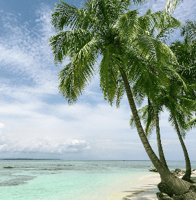 hawaiian beach massage