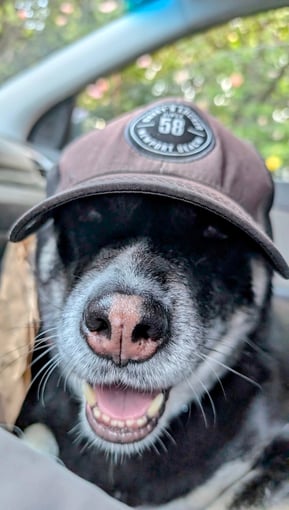 Ahsoka has her hat on ready for a grand adventure on our hike