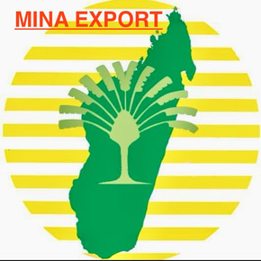 MINA EXPORT logo