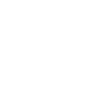 Bichi's Pepper Sauce logo