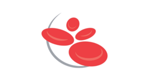 Dra Ana Gabriela Bismara logo