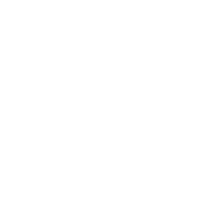 Gin 109 Trasversale logo