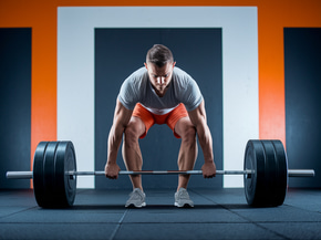 No shape em 8 semanas logo