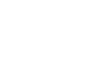L&E Web Development logo