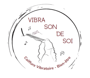 Vibra Son De Soi logo