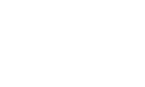 Bridge Line Trading logo