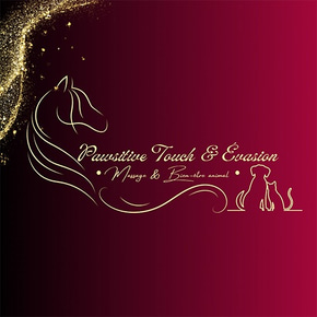 Pawsitive Touch & Évasion logo