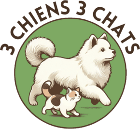 3 Chiens 3 Chats logo