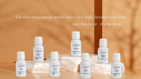 a group of bottles of essential oils and a bottle of eyvor essential oil brandoils