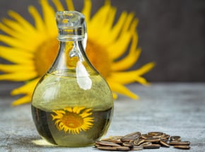 Huile de tournesol