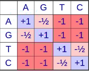 DNA Scoring Matrix
