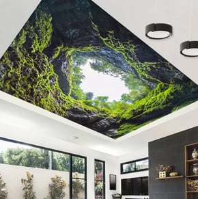 Spanndecke mit Natur-Motiv im Wohnzimmer