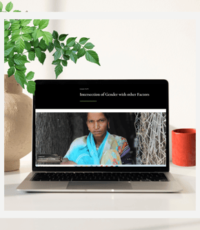 Interactive, self paced innovative course for government officials, featuring quizzes an