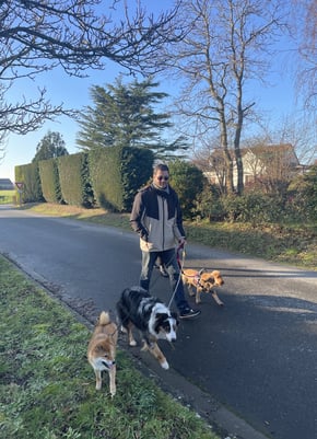 Pet sitter Tourneville