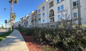 luxury apartment mulch