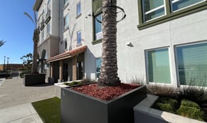 luxury apartment mulch