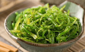 Spiruline - microalgue