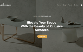 xclusive project