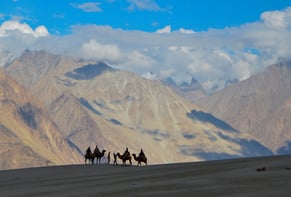 a group of people riding on camels in the desert