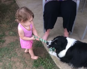 Children Playing with Dog 