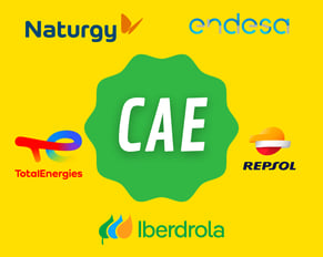 Logos de CAE, TotalEnergies, Repsol, Iberdrola, Endesa y Naturgy – ayudas para aislamiento térmico