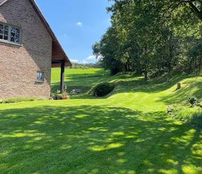 a house with a large lawn and a large tree