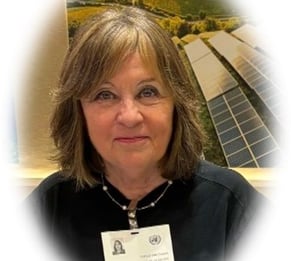 María Teresa Vergara, Secretaria de AFICS Chile