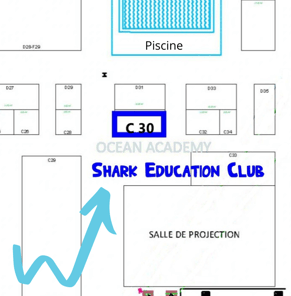 Ecole des requin au stand C30, salon de la plongée Paris 2024
