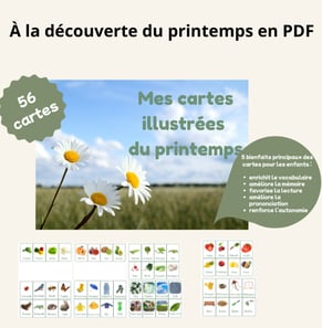 carte de vocabulaire illustrées