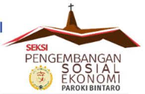 Festival Kuliner Pangan Lokal 2024 by PSE, WKRI, KKG & Kesehatan Paroki Bintaro logo