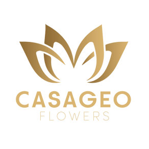 CASAGEO logo