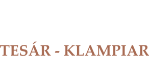 Tesár - Klampiar Levice logo